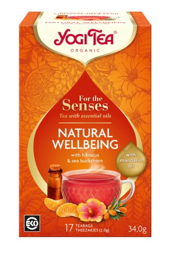 Ajurwedyjska herbatka NATURAL WELLBEING YogiTea Organic 17x2g