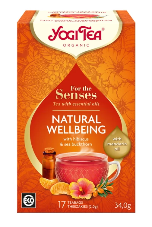 Ajurwedyjska herbatka NATURAL WELLBEING YogiTea Organic 17x2g
