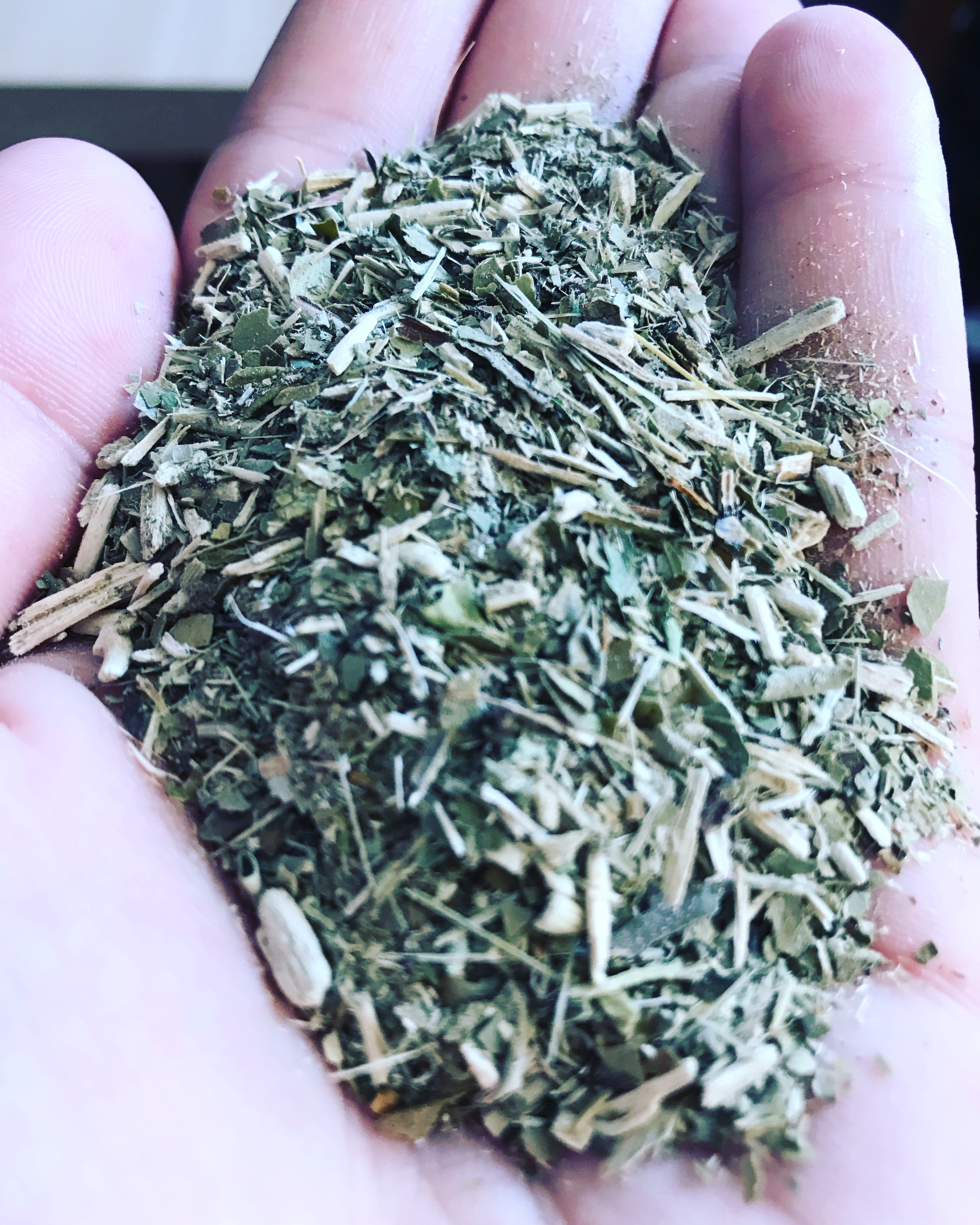 Yerba mate, czyli ostrokrzew paragwajski